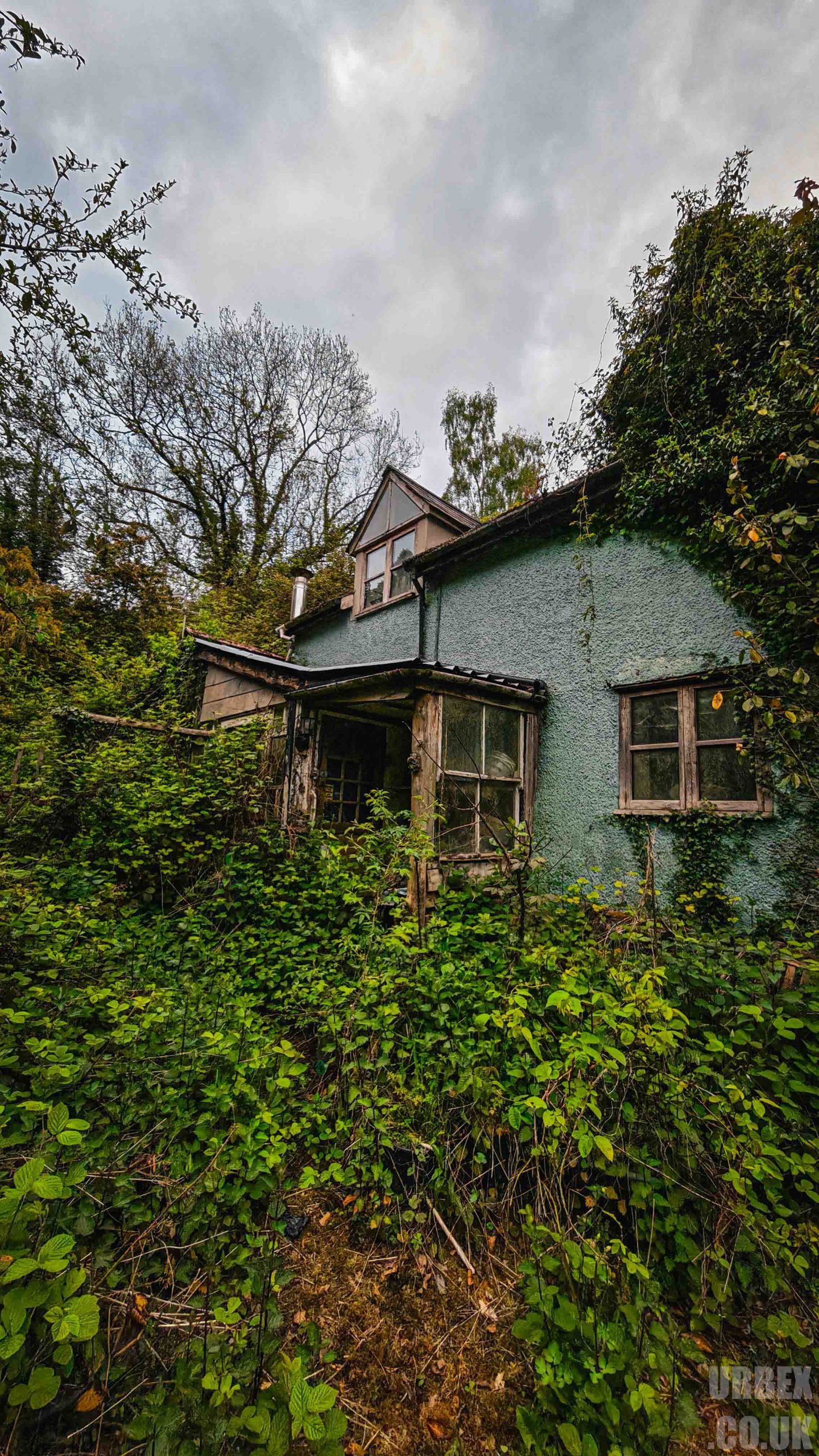 Blue house in the woods names the buddha house